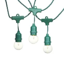 30-Count UL G40 Commercial Style Globe String Light Set, Green Wire